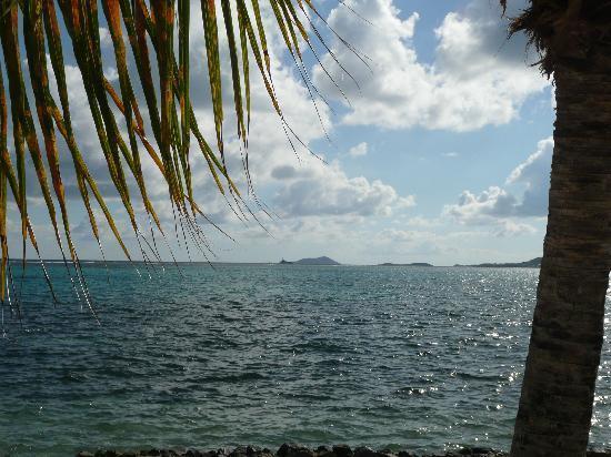 Club St. Croix Beach And Tennis Resort Christiansted Luaran gambar